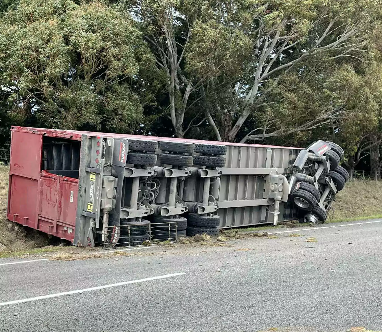 Over 20 sheep killed after stock truck crashes in North Canterbury