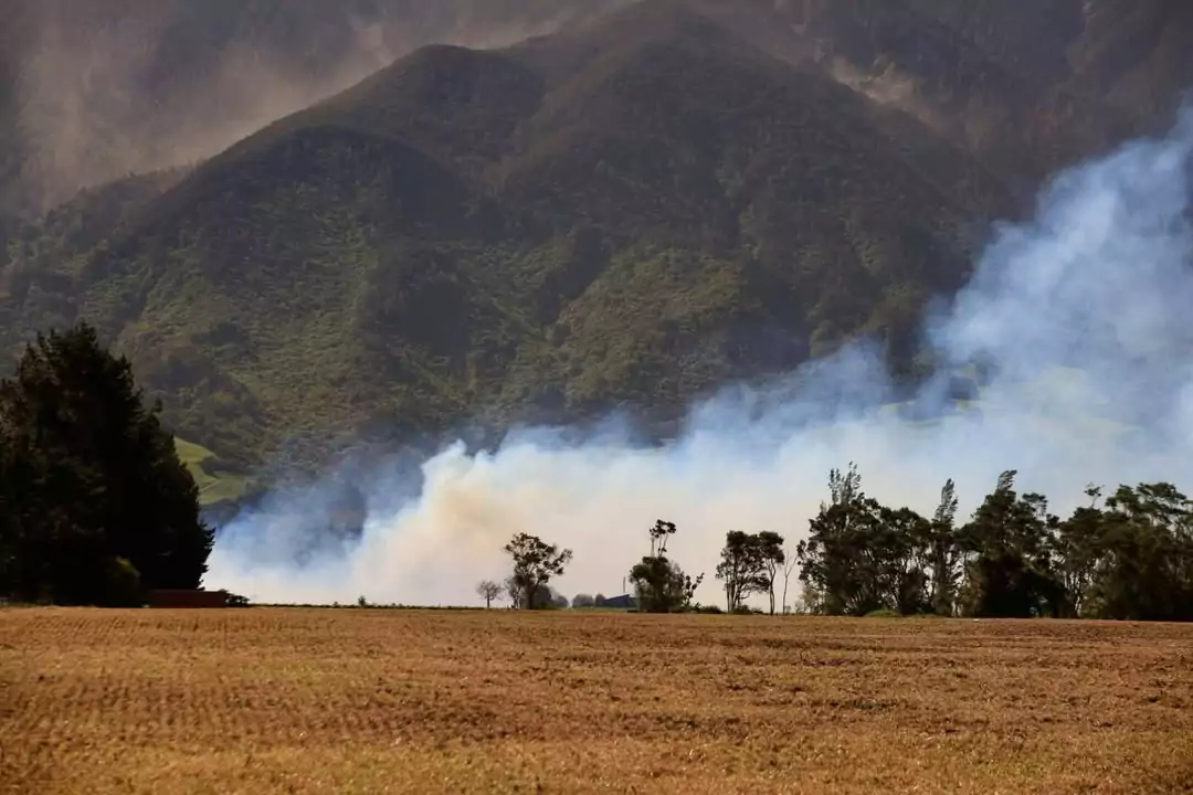 Coastal Pacific train disrupted amid Kaikōura fire emergency