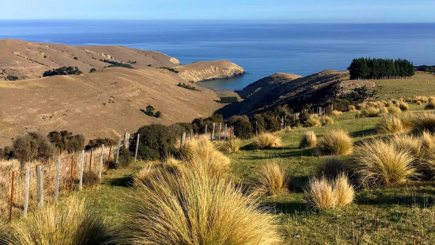 New regional park to open beside Lake Forsyth