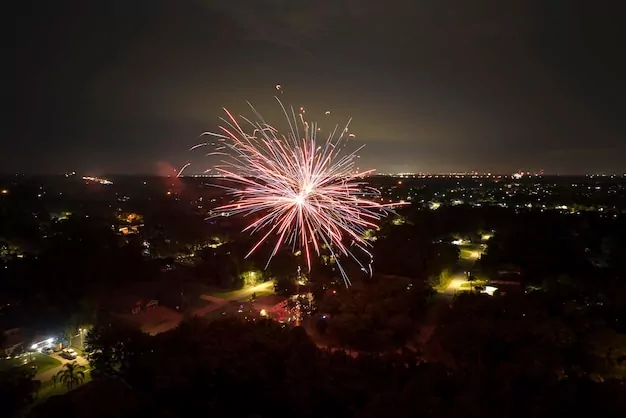 Loud fireworks leave Christchurch residents and pets shaken