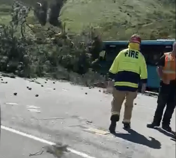 Tree falls on Christchurch metro bus near Lyttelton