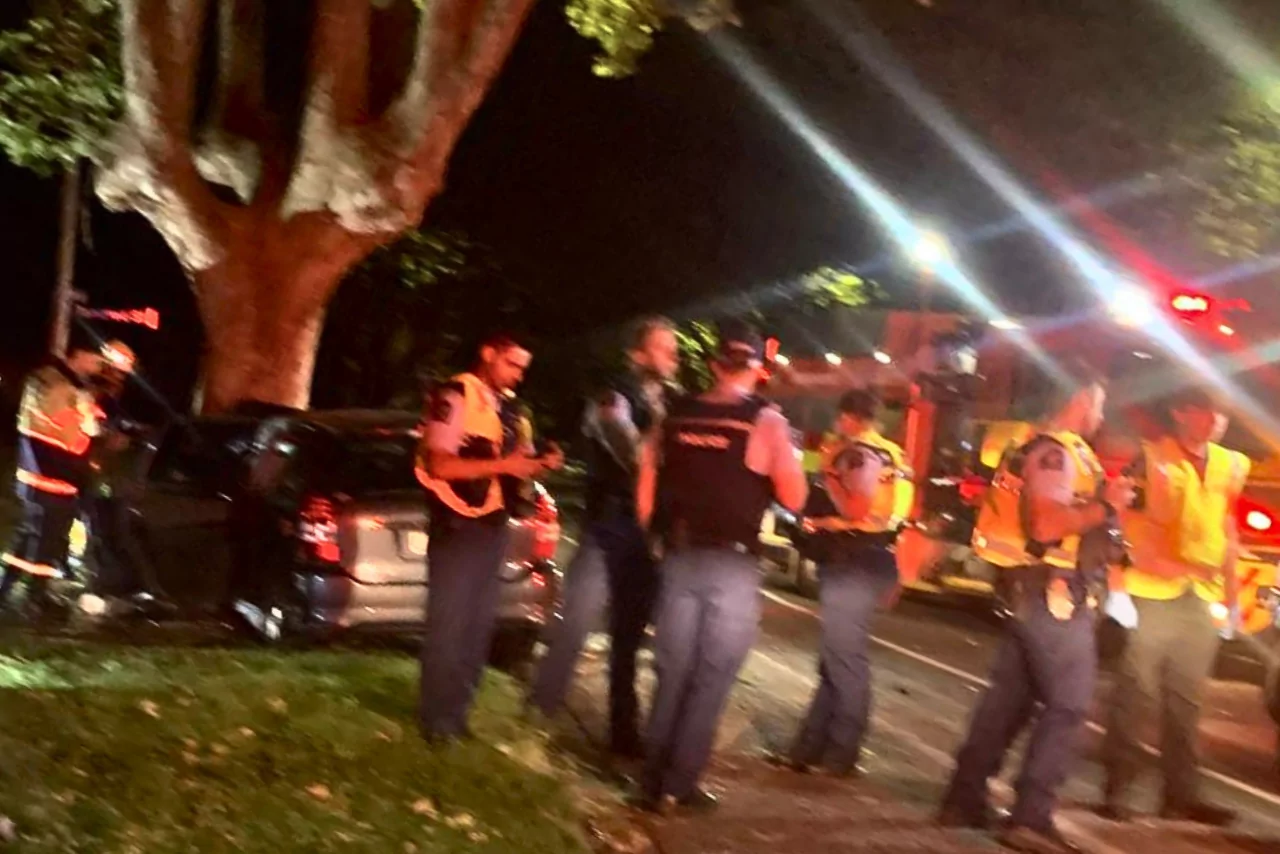 Car crashes into tree in early morning Linwood crash