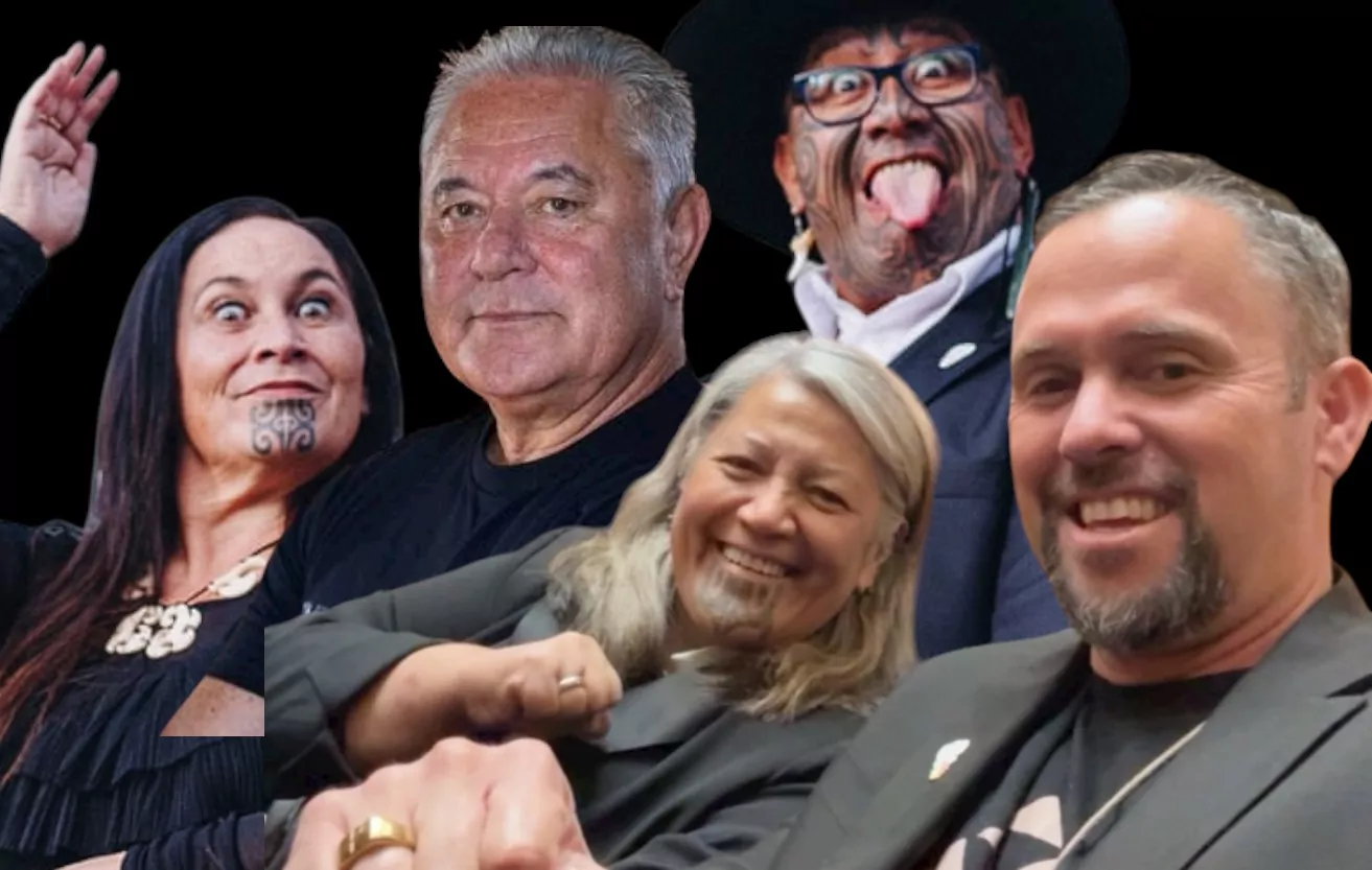 All performance, no policy’: Luxon says Te Pāti Māori not serious about Māori or New Zealanders