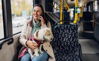 Small pets to be allowed on public transport in Greater Christchurch from December