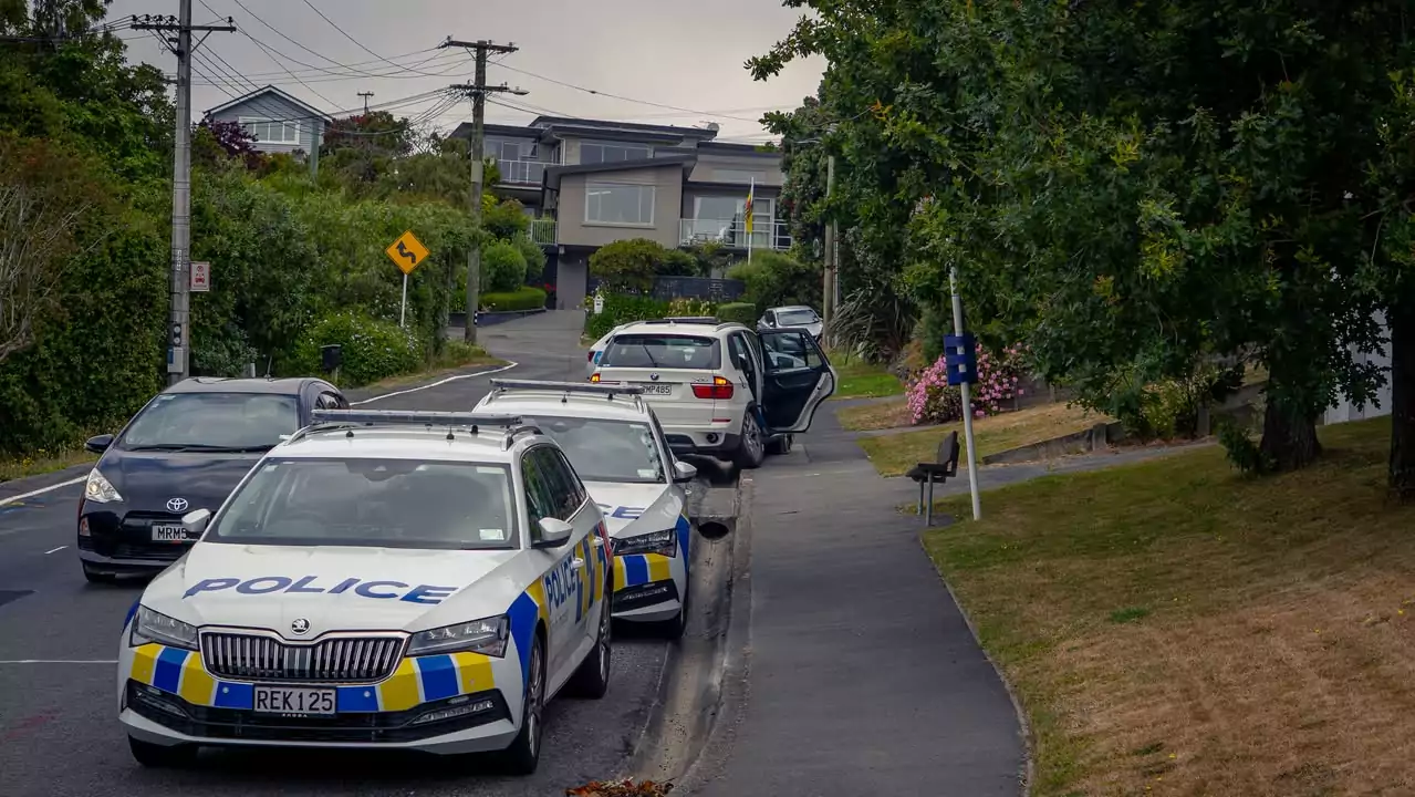 Man arrested after ramming police car and fleeing scene