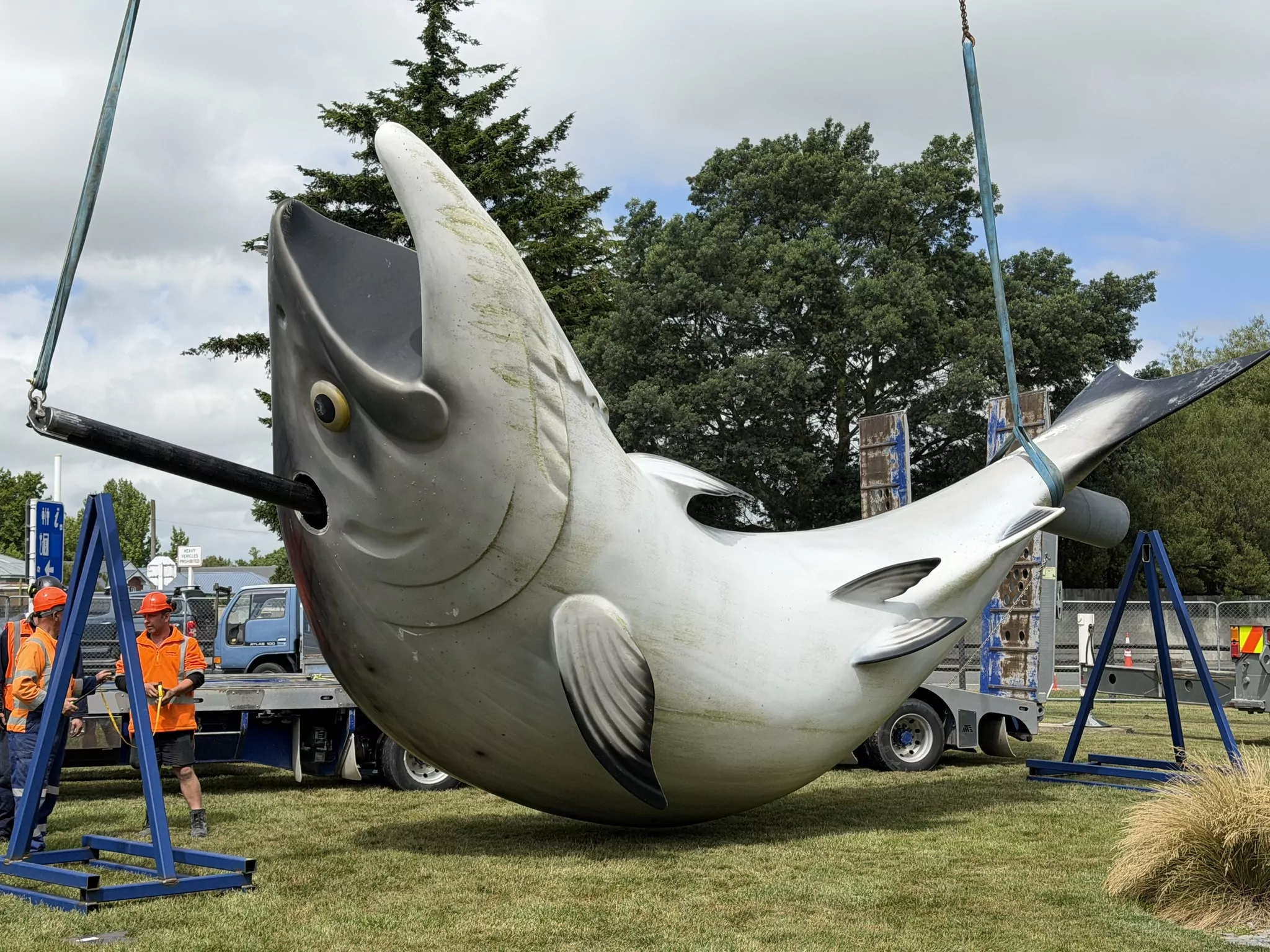 Rakaia’s famous salmon on the move for restoration work
