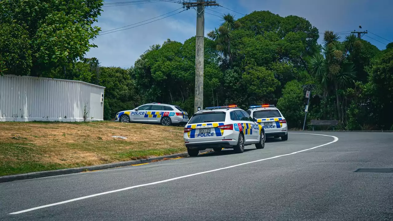 Photo: Gus Jensen / @a_sheeeep