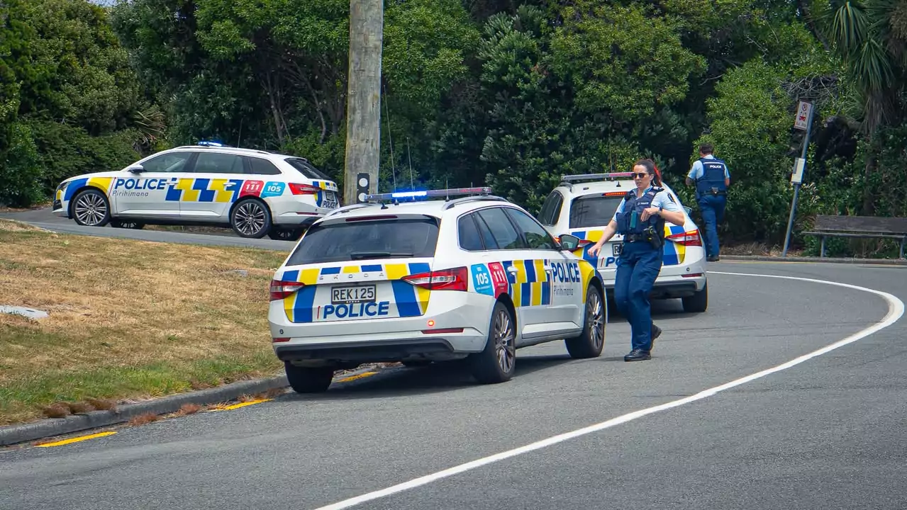 Photo: Gus Jensen / @a_sheeeep