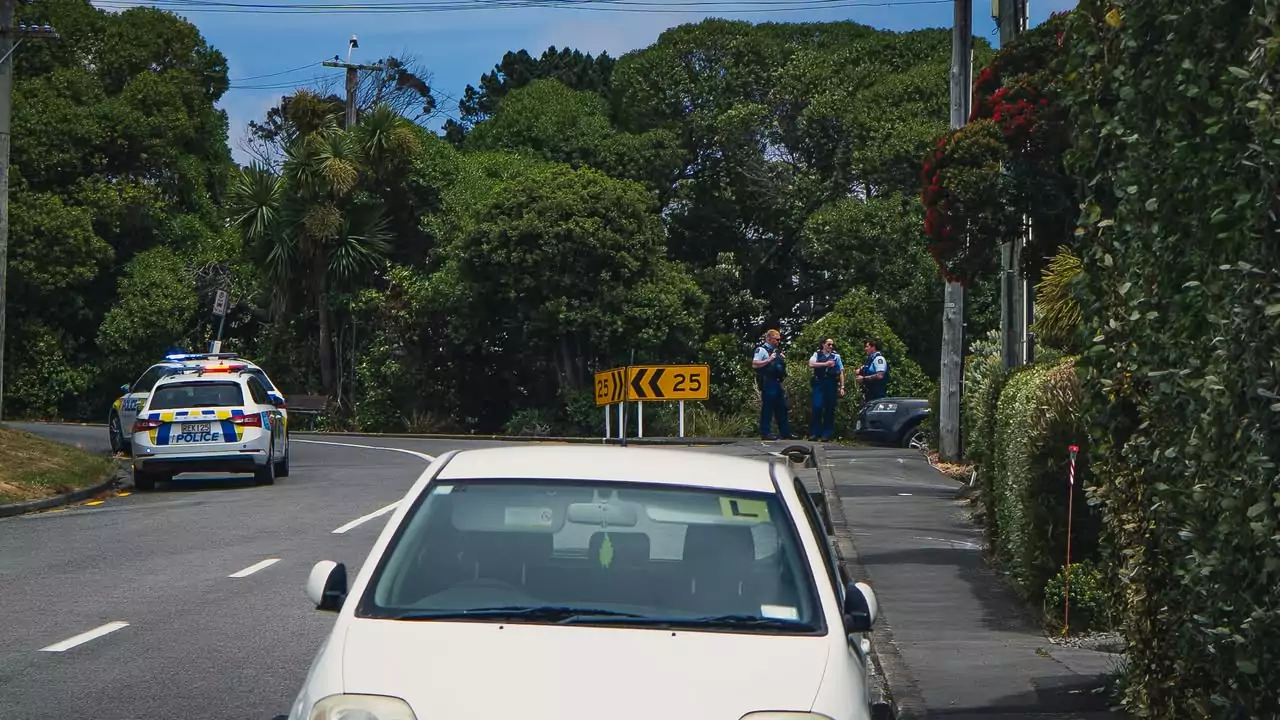 Photo: Gus Jensen / @a_sheeeep