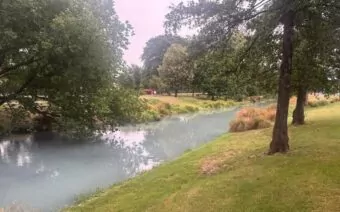 Strange discolouration appears in Avon River