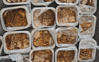 Mould covered lunches served to Christchurch students