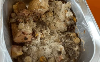 Food Safety pushes back again after principal disputed cause of mouldy lunches