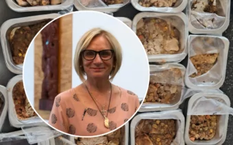 Christchurch mouldy lunches investigation traced to meals left at school says investigation