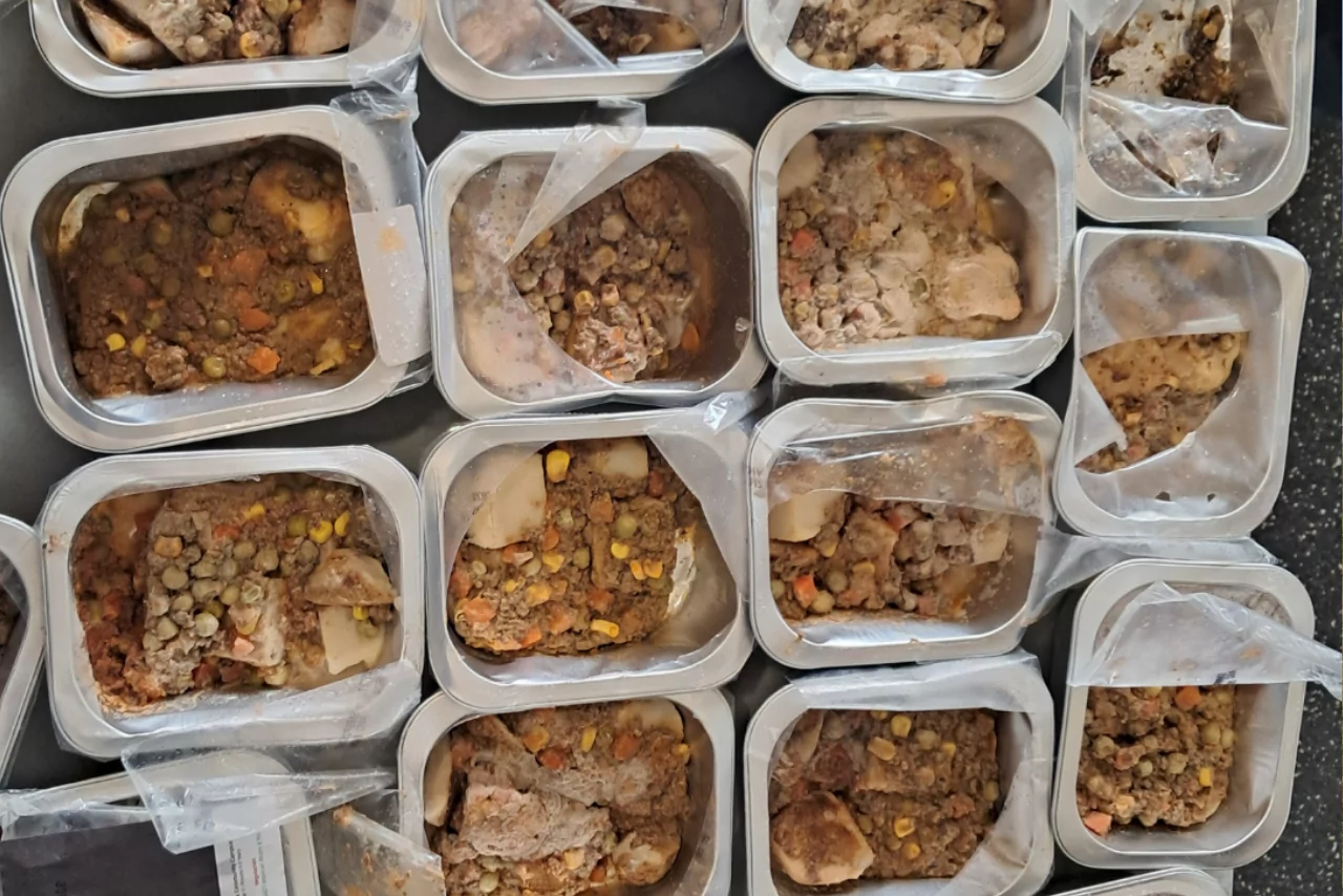 Mould covered lunches served to Christchurch students