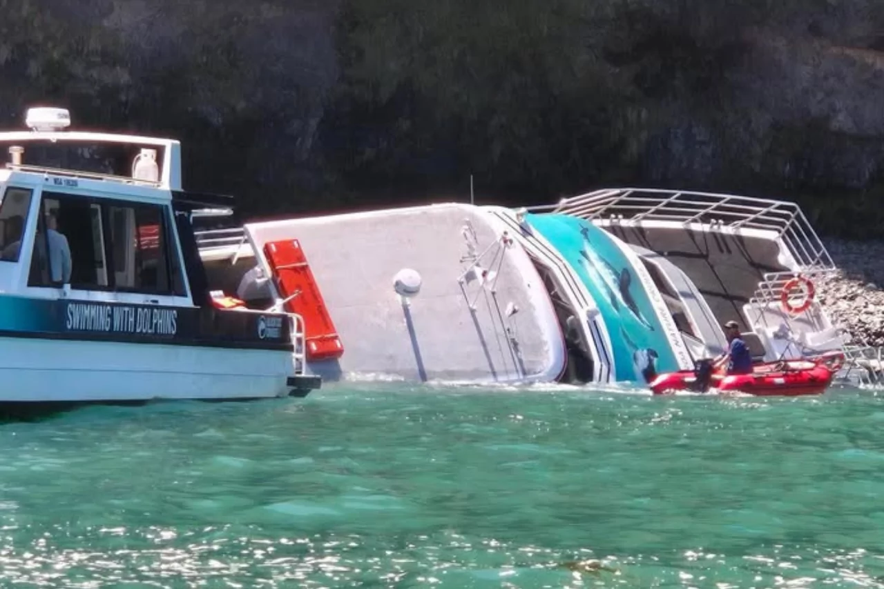 Black Cat cruise boat capsizes off Akaroa, passengers safe