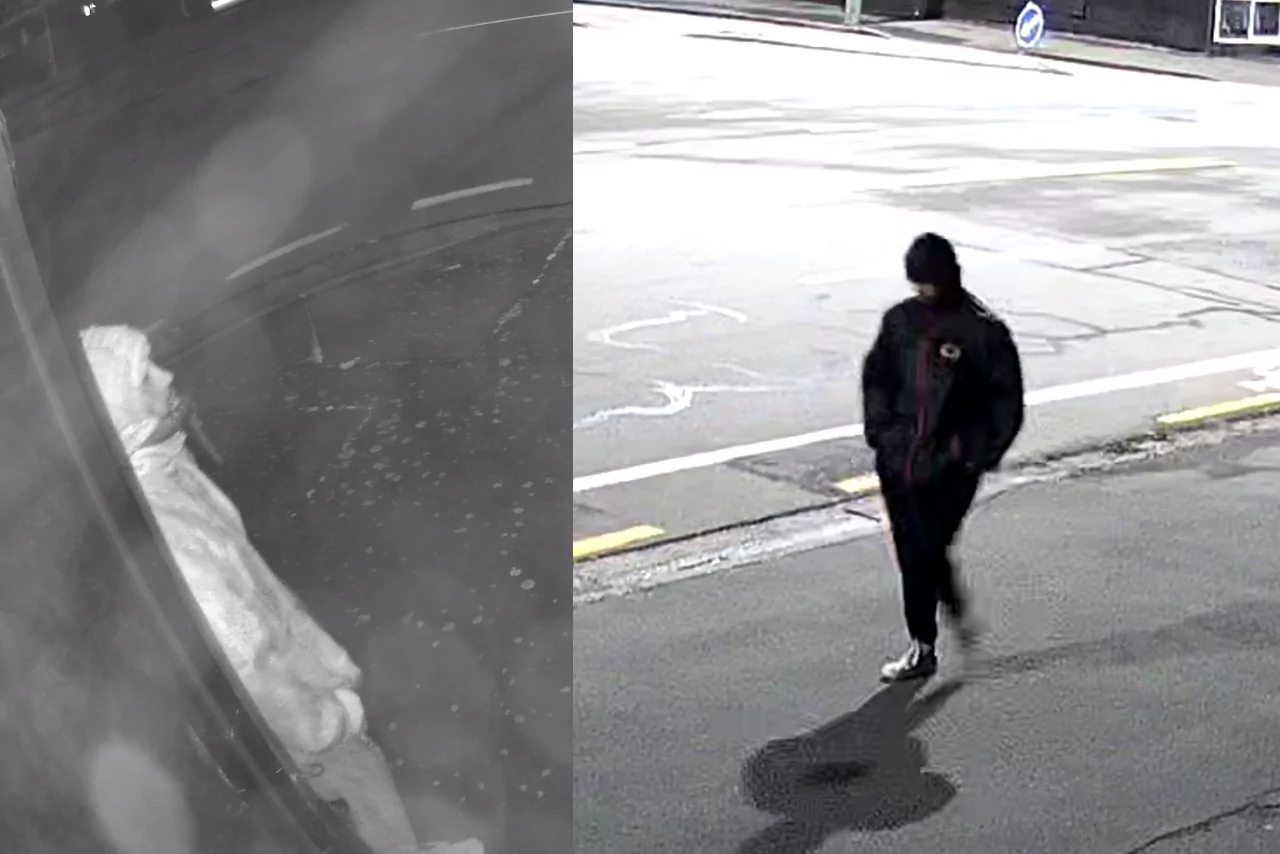 Appeal for information following Sydenham arson