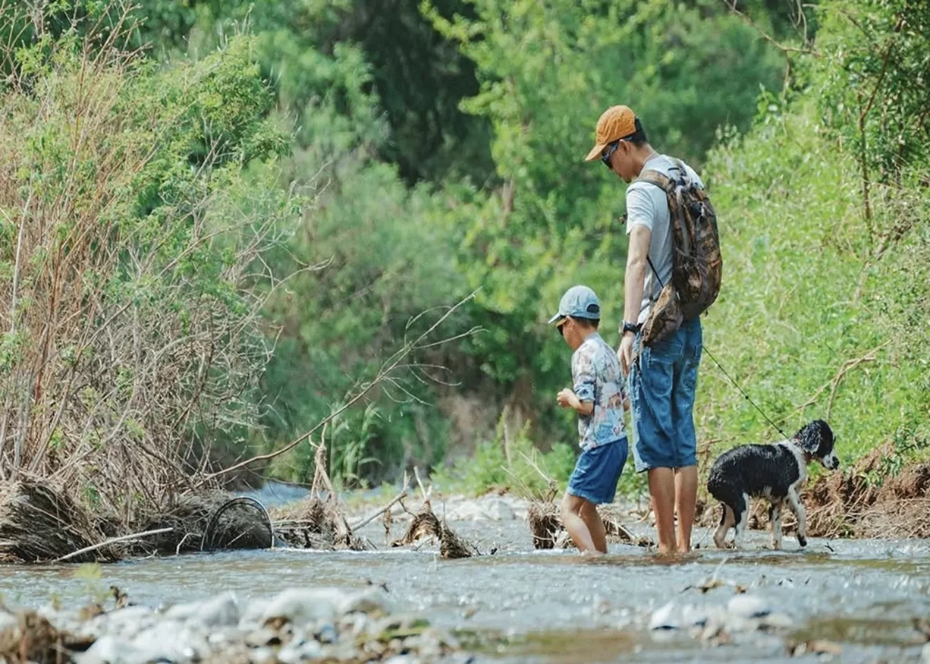 Toxic algae warning issued for Lake Forsyth