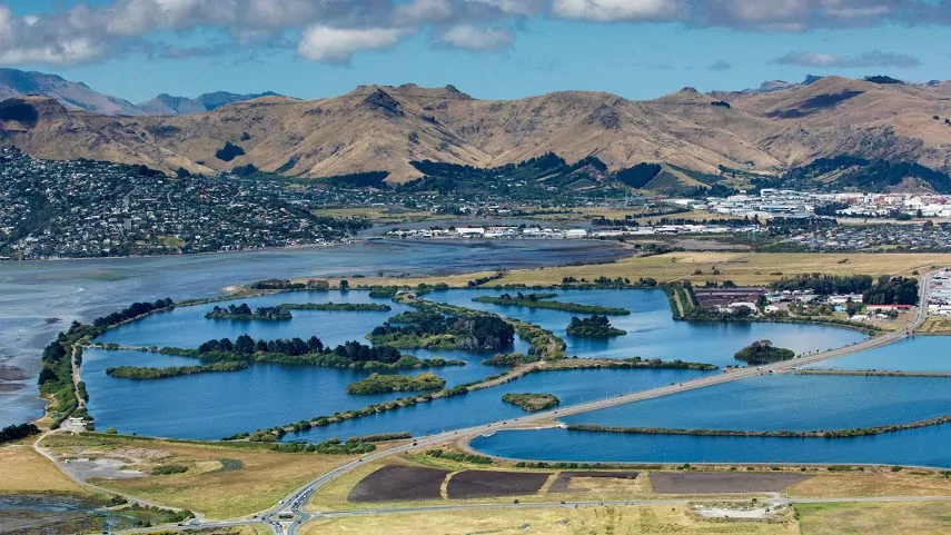 Bromley Waste Treatment Ponds, Christchurch