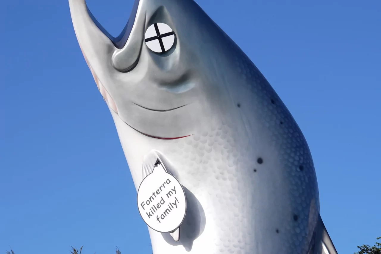 Ashburton Mayor criticises vandalism of Rakaia salmon statue