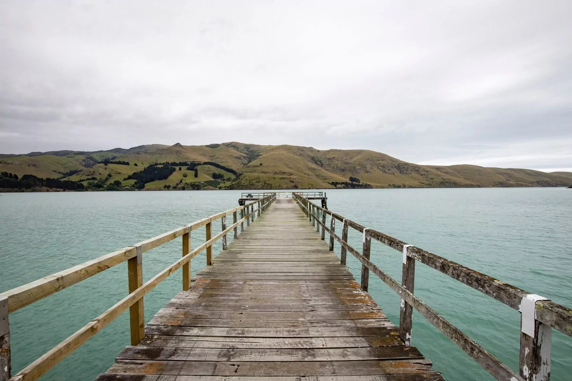 Health warning continues after shellfish toxins found at Port Levy