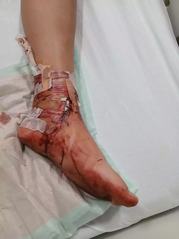 Photo: Supplied to chrislynchmedia.com