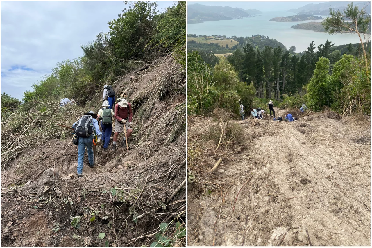 Fundraising campaign launched to restore flood-damaged Banks Peninsula tracks