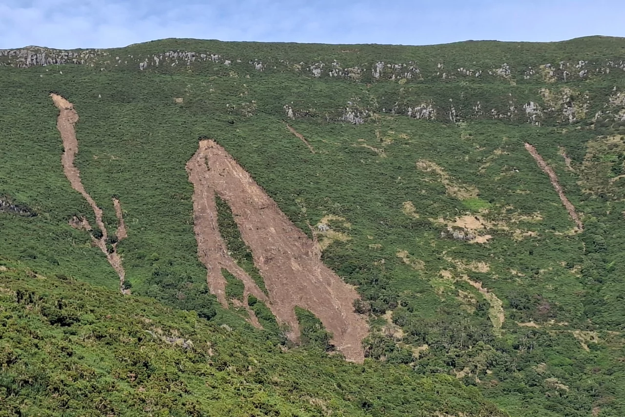 Images courtesy of Te Ahu Pātiki Charitable Trust.