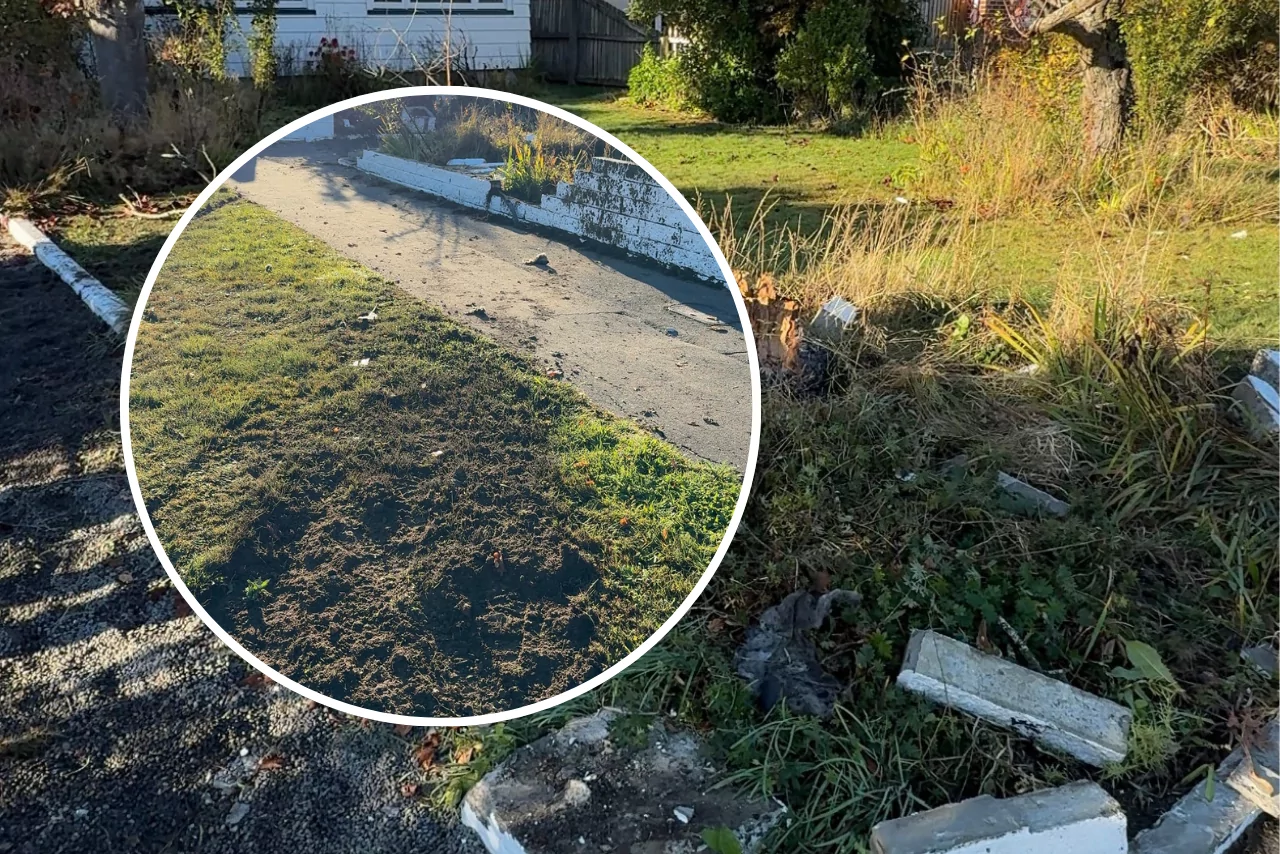 Woman dies in Burnside crash