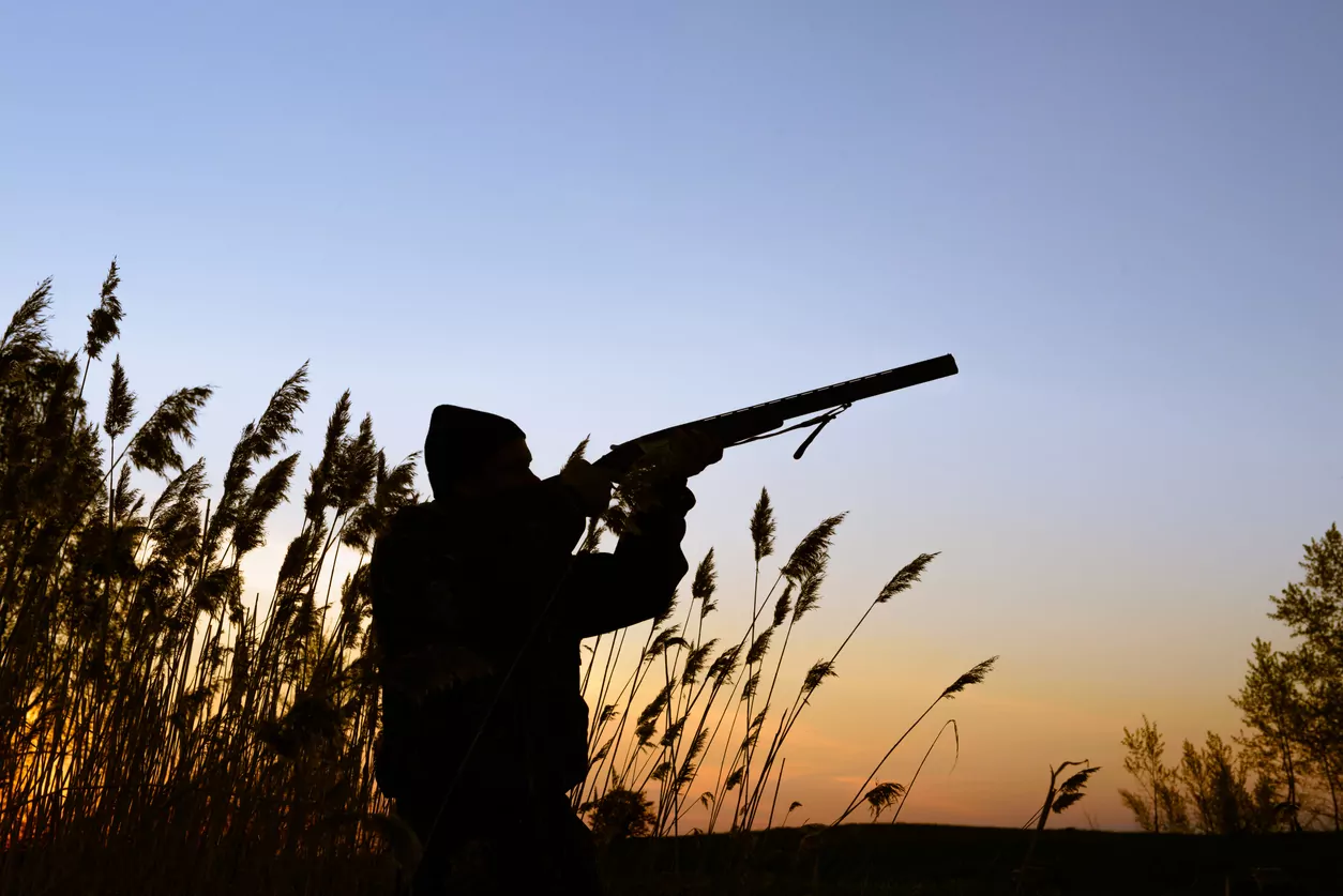 Residents upset after tame ducks shot metres from  Belfast houses