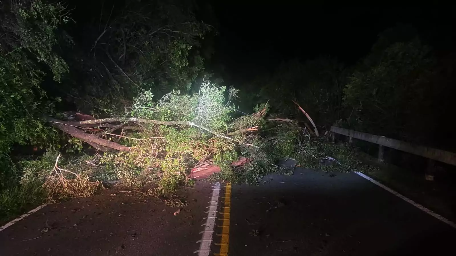 SH6 closed after large slip on West Coast