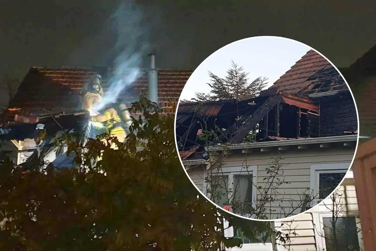 Christchurch family and pets flee home from roof fire
